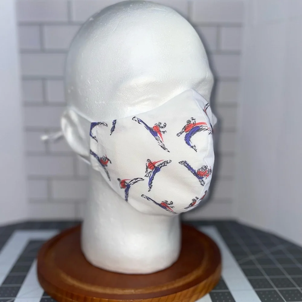 Martial arts facemask taekwondo